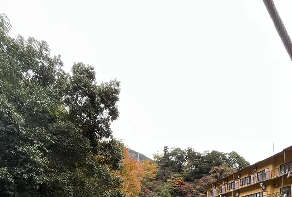 紫雲荘の写真・動画_image_1799446