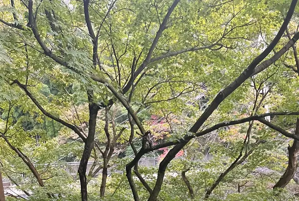紫雲荘の写真・動画_image_1799452