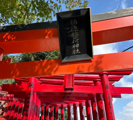 祐徳稲荷神社の写真・動画_image_1803914