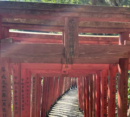 祐徳稲荷神社の写真・動画_image_1803915
