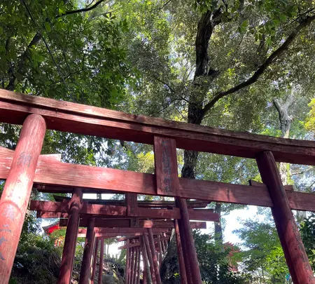 祐徳稲荷神社の写真・動画_image_1803916