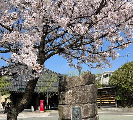 城崎温泉の写真・動画_image_1804323