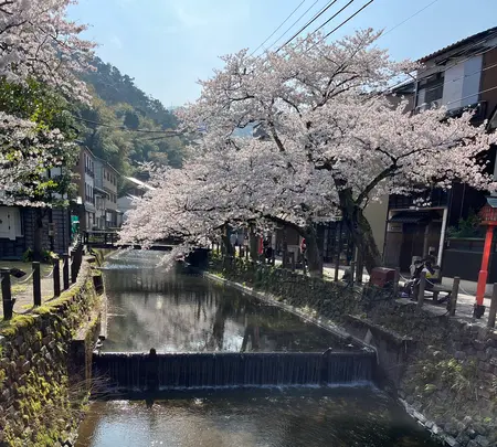 城崎温泉の写真・動画_image_1804324