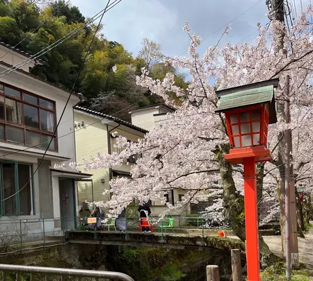 城崎温泉の写真・動画_image_1804330