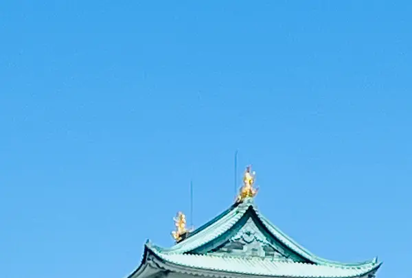 名古屋城の写真・動画_image_1805243