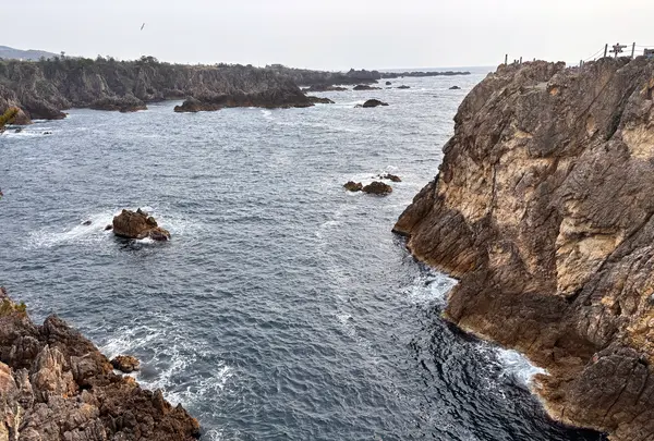 尖閣湾揚島遊園の写真・動画_image_1813661