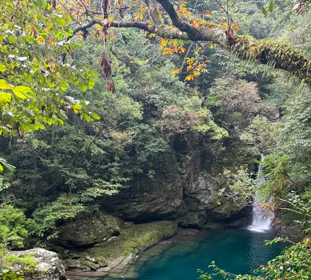 にこ淵の写真・動画_image_1819040