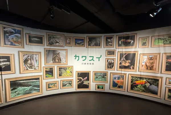 カワスイ川崎水族館の写真・動画_image_1820611