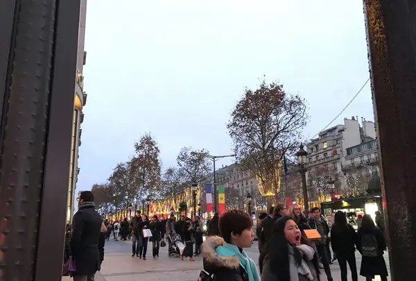 Avenue des Champs-Élyséesの写真・動画_image_211250