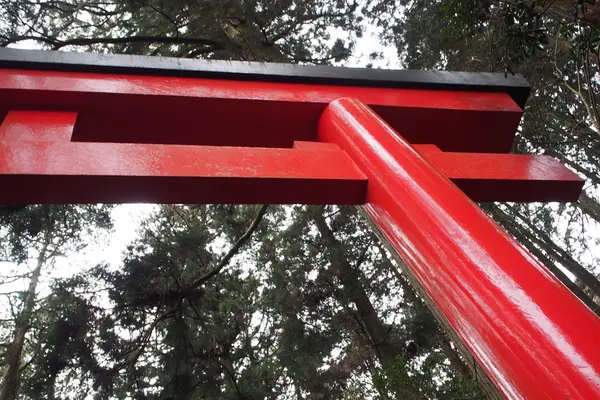 箱根神社の写真・動画_image_226966