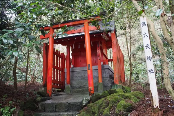 箱根神社の写真・動画_image_226967