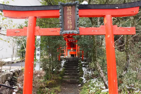 箱根神社の写真・動画_image_226968