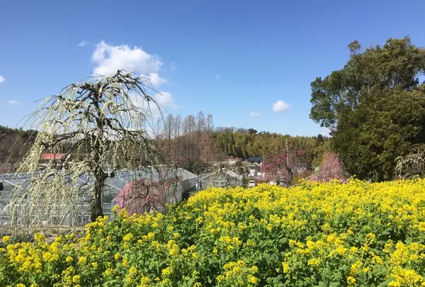 名古屋市農業センターの写真・動画_image_227548