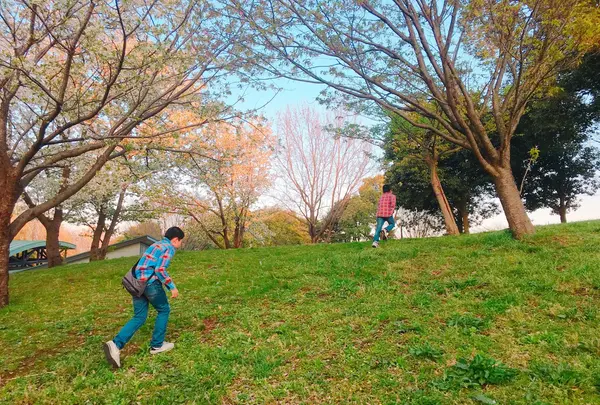 神奈川県立茅ヶ崎里山公園の写真・動画_image_228873
