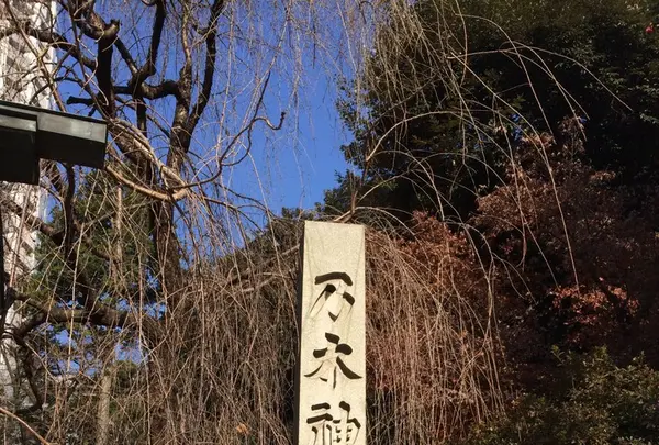 乃木神社の写真・動画_image_230802