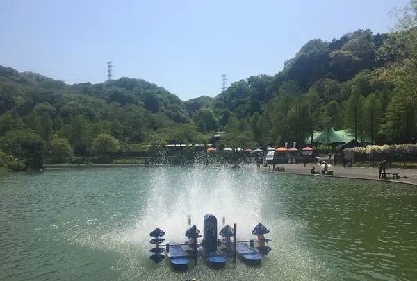 Wonderful Nature Village（わんダフルネイチャーヴィレッジ）の写真・動画_image_236642