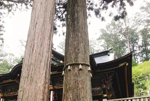 三峯神社の写真・動画_image_238785
