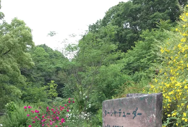 花フェスタ記念公園の写真・動画_image_240402
