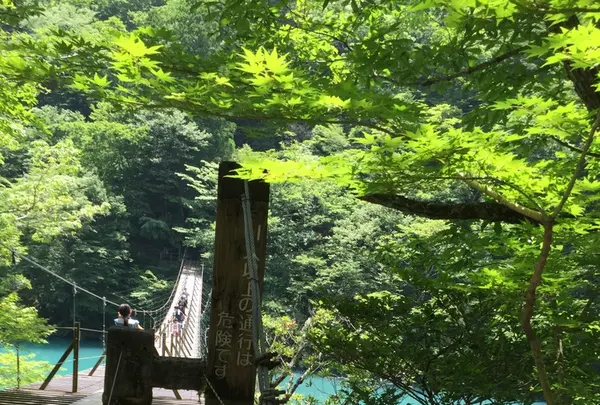 夢の吊橋の写真・動画_image_240810