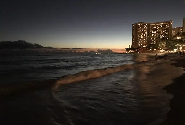 Moana Surfrider, A Westin Resort & Spa, Waikiki Beachの写真・動画_image_241840
