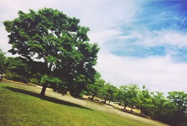 柴山潟湖畔公園の写真・動画_image_242720
