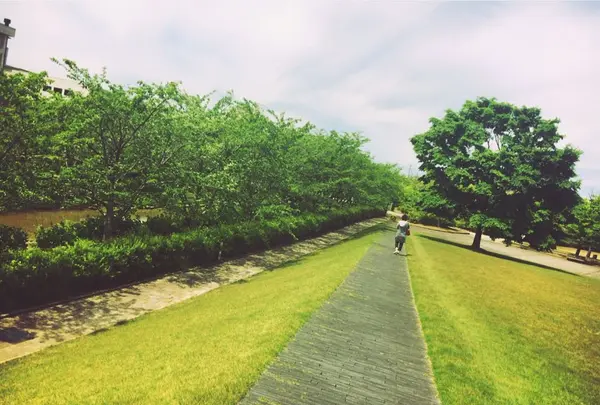 柴山潟湖畔公園の写真・動画_image_242721