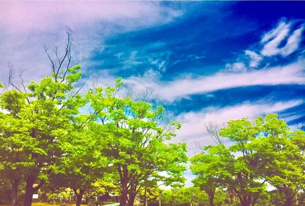 柴山潟湖畔公園の写真・動画_image_242725