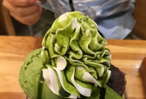 nana's green teaの写真・動画_image_244621