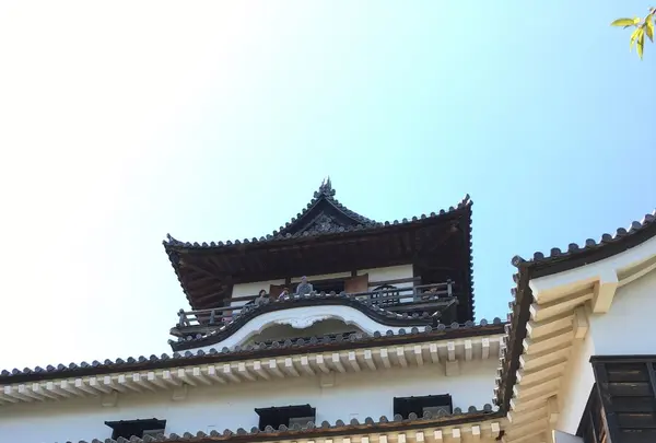 犬山城の写真・動画_image_245369