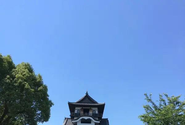 犬山城の写真・動画_image_245375