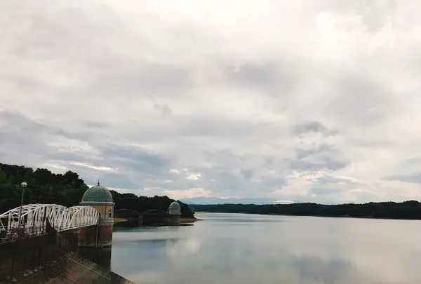 多摩湖の写真・動画_image_248529