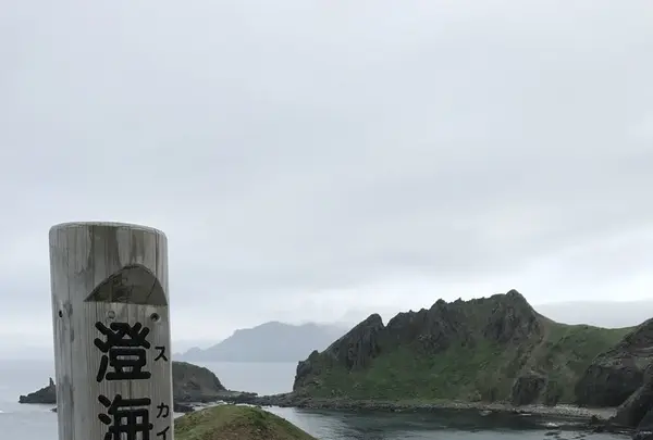 利尻島の写真・動画_image_249913
