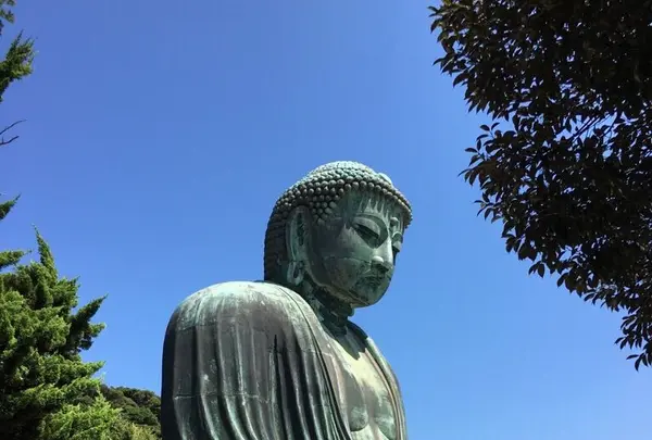鎌倉大仏（高徳院）の写真・動画_image_265445