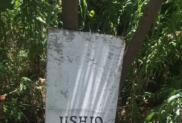 USHIO CHOCOLATL （ウシオチョコラトル）の写真・動画_image_267950