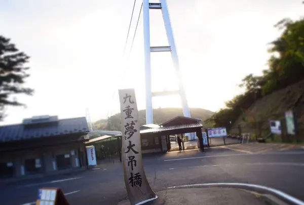 九重“夢”大吊橋の写真・動画_image_284740