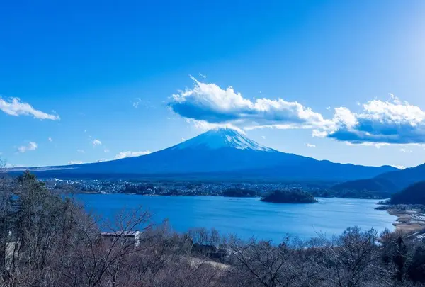星のや富士の写真・動画_image_290194