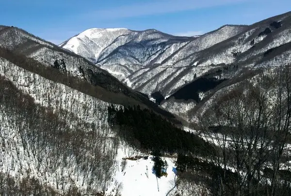みなかみ町 赤沢スキー場の写真・動画_image_296024
