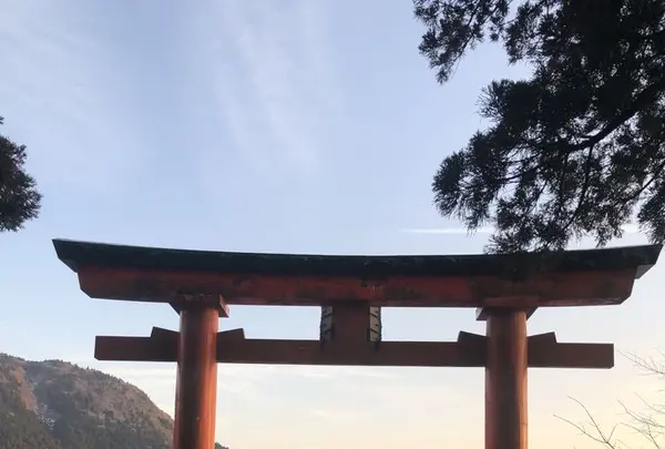 箱根神社の写真・動画_image_297024