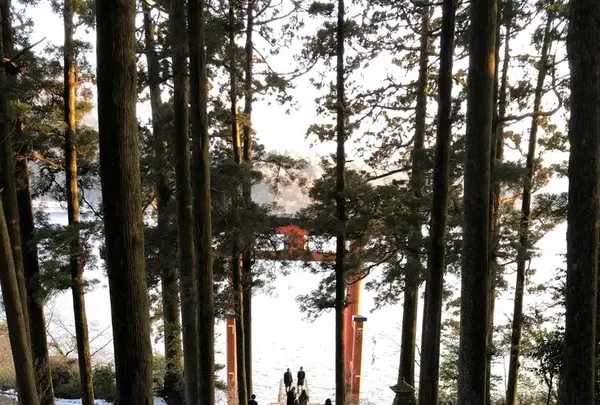 箱根神社の写真・動画_image_297028