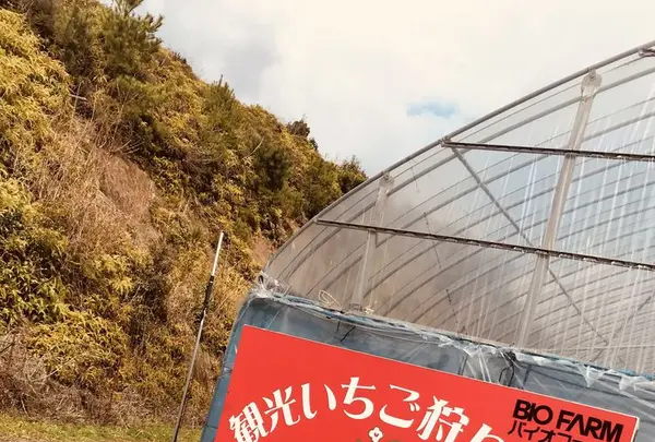 オランダ村の写真・動画_image_302810