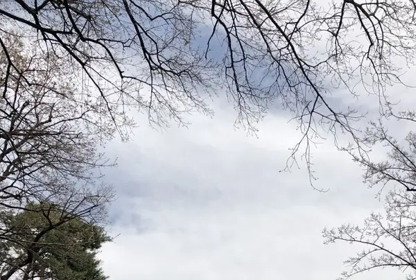 三鷹の森ジブリ美術館の写真・動画_image_309694