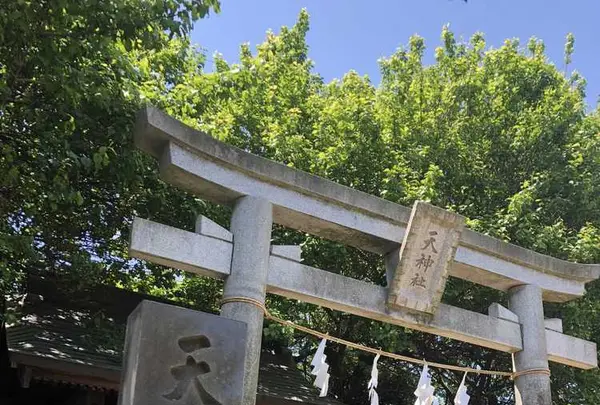 箭弓稲荷神社の写真・動画_image_314586