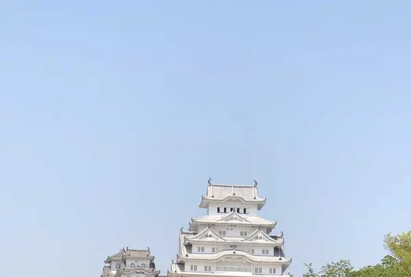 姫路城の写真・動画_image_317467