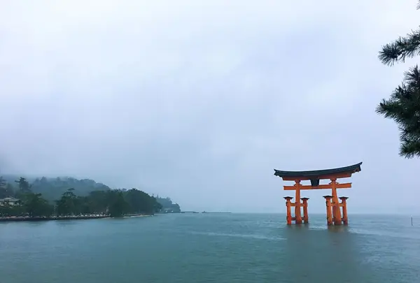 厳島神社 石鳥居の写真・動画_image_318738