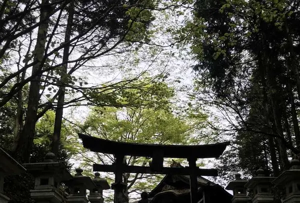 三峯神社の写真・動画_image_318805
