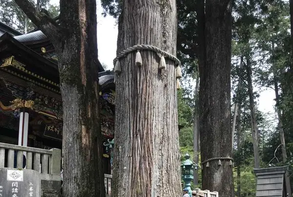 三峯神社の写真・動画_image_318809