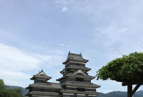 松本城の写真・動画_image_318988