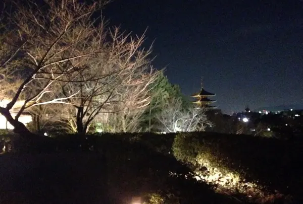 京都市の写真・動画_image_319031