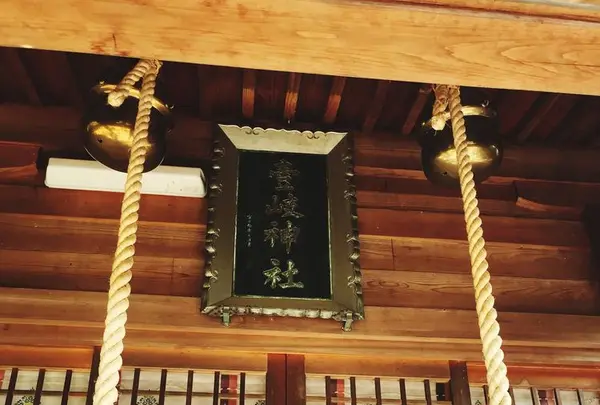 生の松原海岸森林公園の写真・動画_image_319189