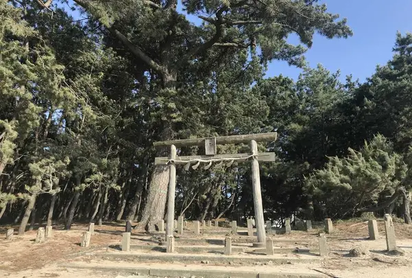 生の松原海岸森林公園の写真・動画_image_319190